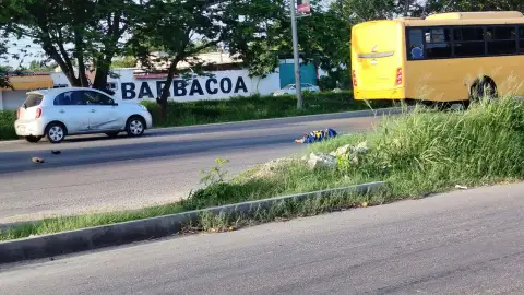 atropellado Periférico Mérida hoy.jpg