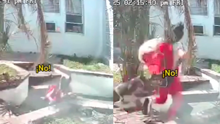 ¡Regresaba de la escuela! Una niña fue mordida en el rostro por un pitbull; este fue el lamentable momento (VIDEO)
