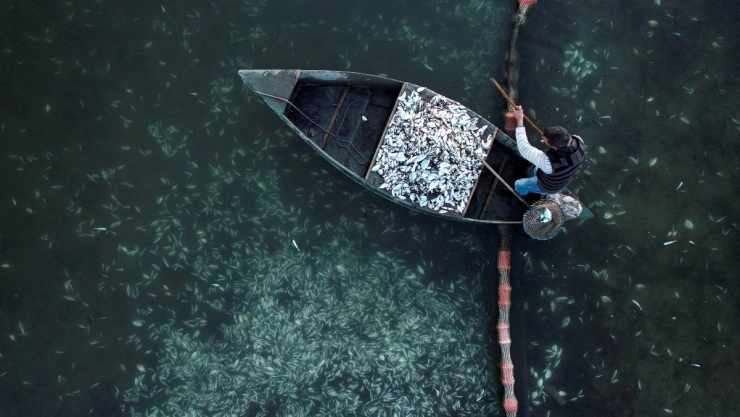 peces frio nevadas grecia