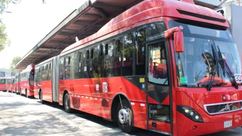 Cierres de estaciones Metrobús CDMX: Basílica de Guadalupe este 11 y 12 de diciembre