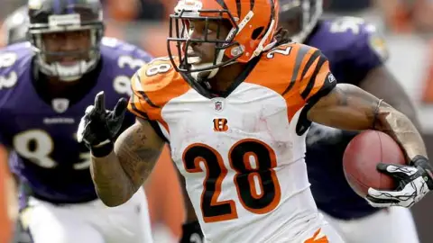 Bengals.NFL