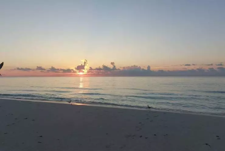 Clima en Cancún hoy 24 de septiembre Vigilan zona de baja presión