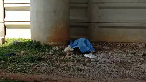 Hombre en aparente situación de calle perdió la vida debajo de un puente en la Mérida-Campeche