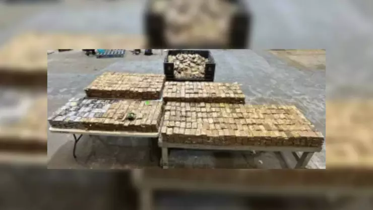 Los paquetes confiscados por la CBP en el Puente Internacional de Pharr