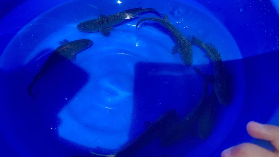 WhatsApp Image 2025-06-30 at 3.2.jpg