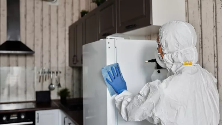 Sistema inmunológico, espacios limpios.jpg