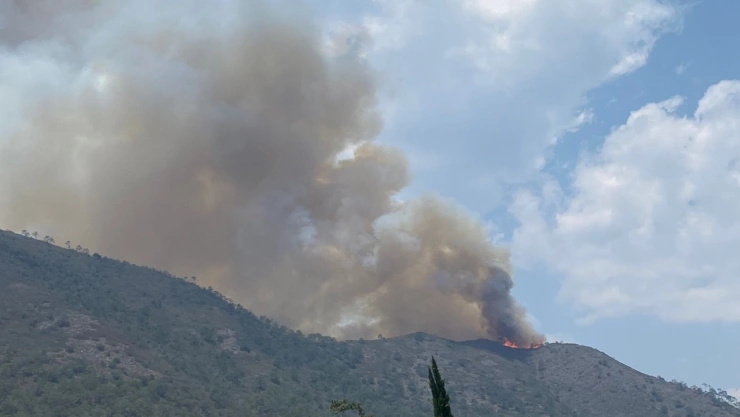 incendio tetela de ocampo puebla hoy