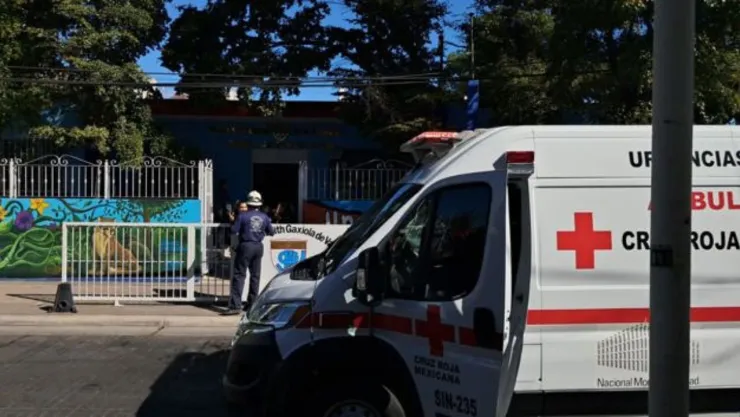 Abejas atacan secundaria en Culiacán, ¿qué se sabe?