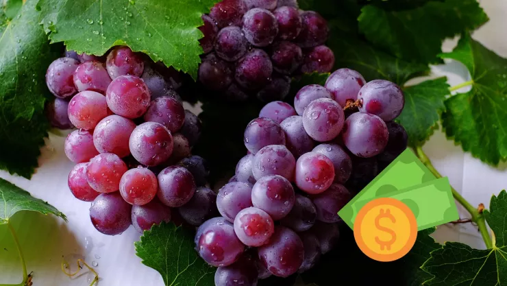 ¿Cuánto cuesta el kilo de uva en Aguascalientes para celebrar Año Nuevo 2025