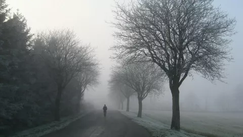 Una madre echó a su hijo de 12 años.jpg