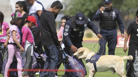 Unidad Canina de la Policía Federal cumple 30 años de servicio