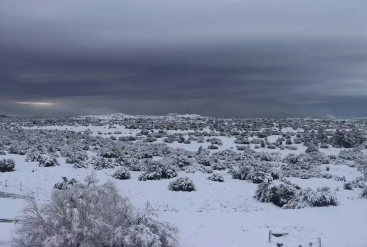 Protección Civil instala centro de monitoreo en La Rumorosa por nevada