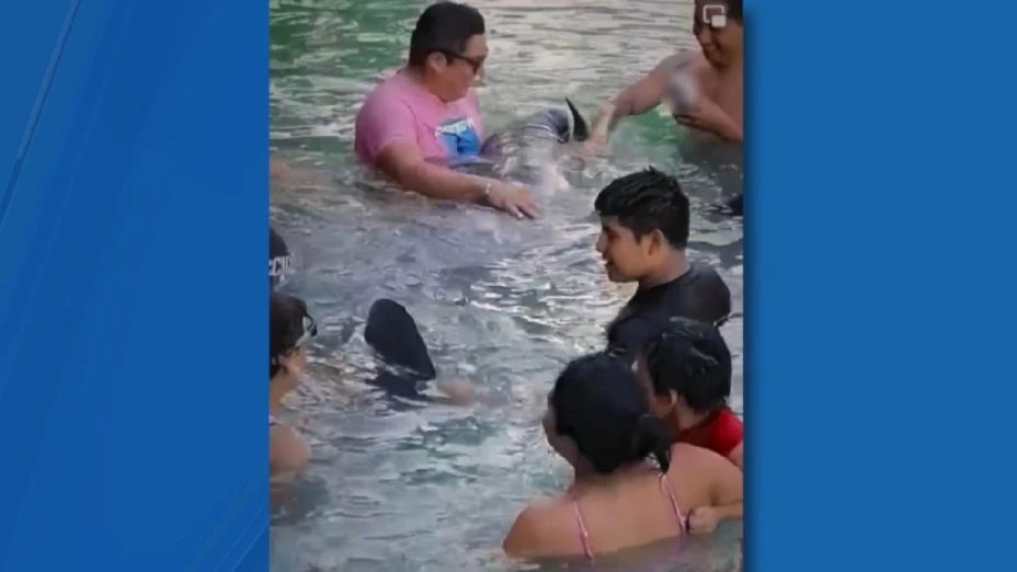 TOCAN MANATÍ.jpg
