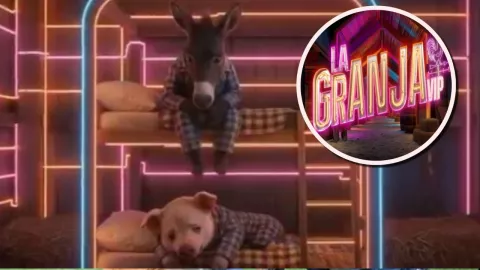 Por qué dormir en el granero es la peor opción en La Granja VIP.jpg