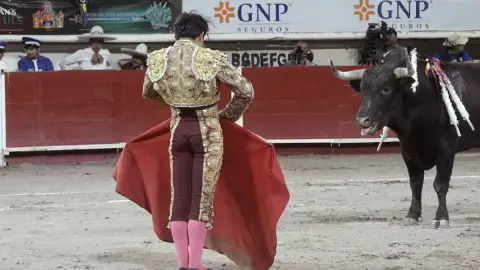 Torero Joselito Adame lesionado