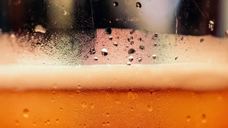 ¡Atención! Modifican horario para la venta de alcohol en Yucatán; esta es la razón