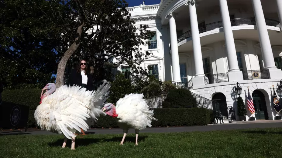 Joe Biden indulta a “Peach” y “Blossom” dos pavos por el Día de Acción de Gracias