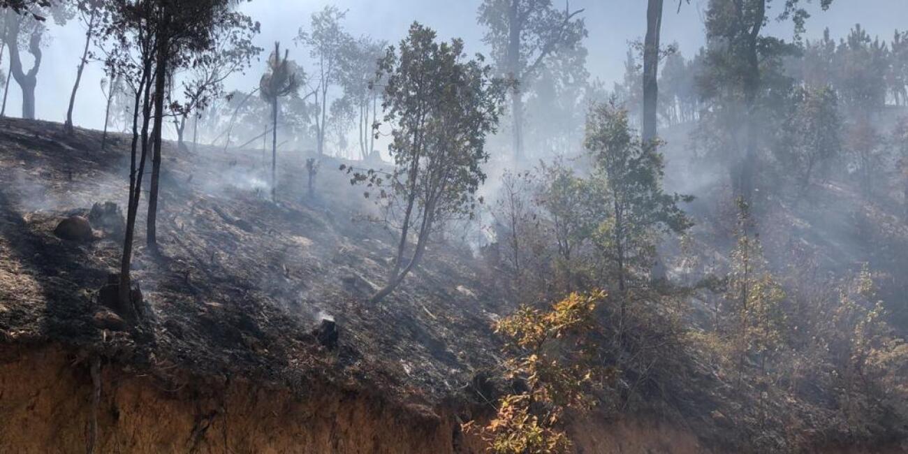 Arde cerro La Joyita en Agostitlán (1).jpeg