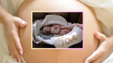 Lily Collins celebra su maternidad a través de la gestación subrogada, ¿Qué implica este proceso?