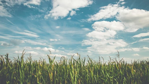 Reporte del clima en Lagos de Moreno hoy 16 de diciembre de 2025.jpg