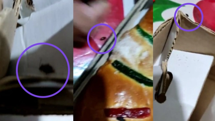Familia recibe rosca rellena de cucarachas.