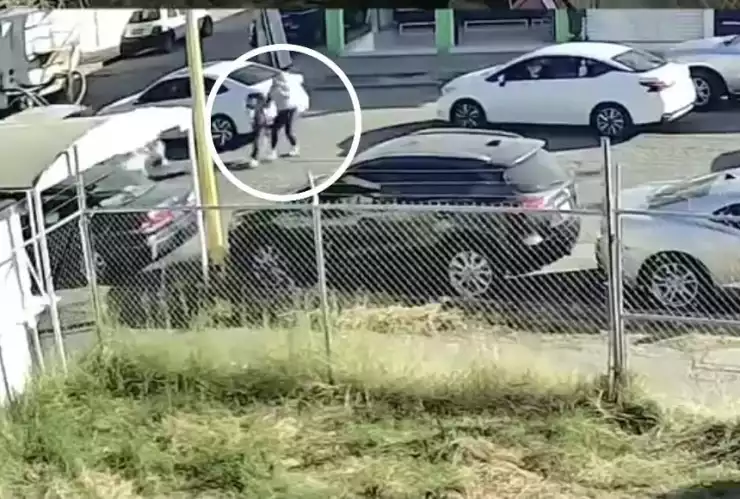 Atropelladas Aguascalientes.jpeg