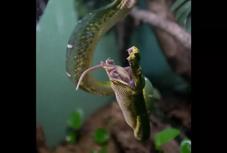 WhatsApp Image 2020-06-22 at 16.18.46.jpeg