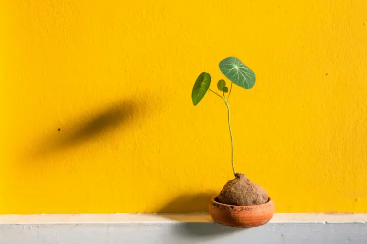 Los signos de Tierra deben conectar con la naturaleza