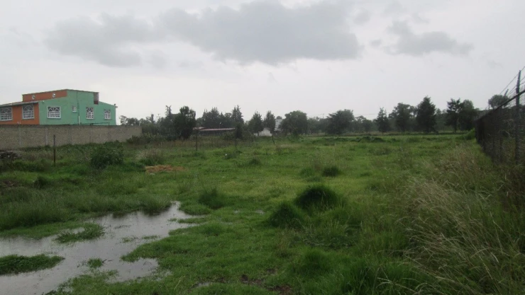 SCJN anula ley que permitía venta anticipada de bienes incautados en Chihuahua