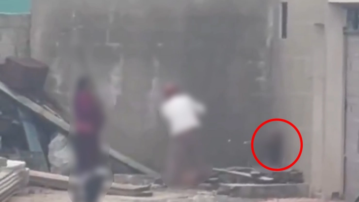 VIDEO TENSO | Completamente indefenso, captan a pareja de abuelitos golpeando brutalmente a un perro en Puebla