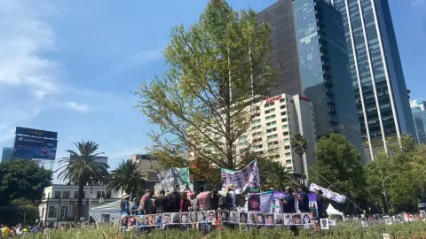 En bienvenida al ahuehuete, Sheinbaum recuerda a desaparecidos