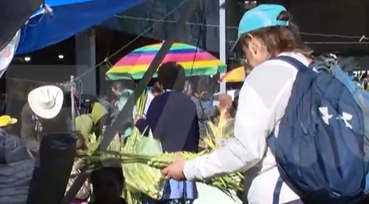 domingo_ramos_mercado_jamaica