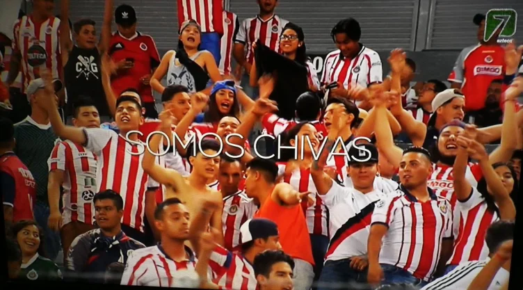 chivas