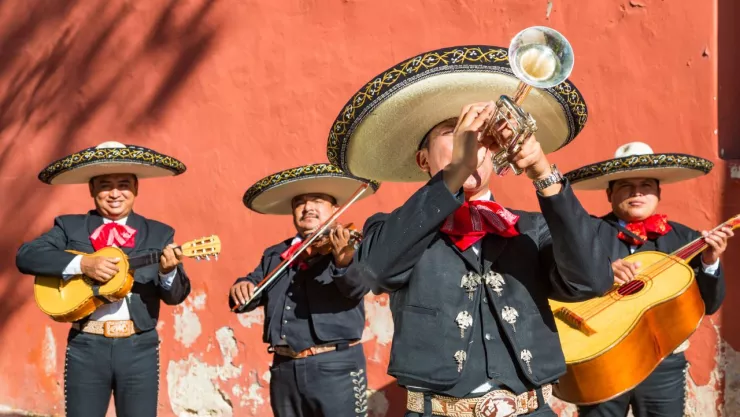 El Mono de Alambre, origen de la canción