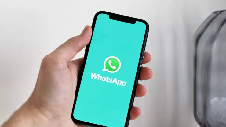 Así puedes activar el modo gato en WhatsApp en 4 pasos