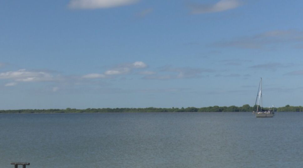 rayas en bahía de chetumal