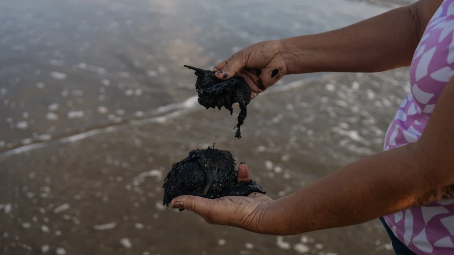 ©Oceana_ Félix Márquez 2026 ·p.jpg