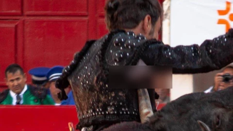 Torero recibe cornada