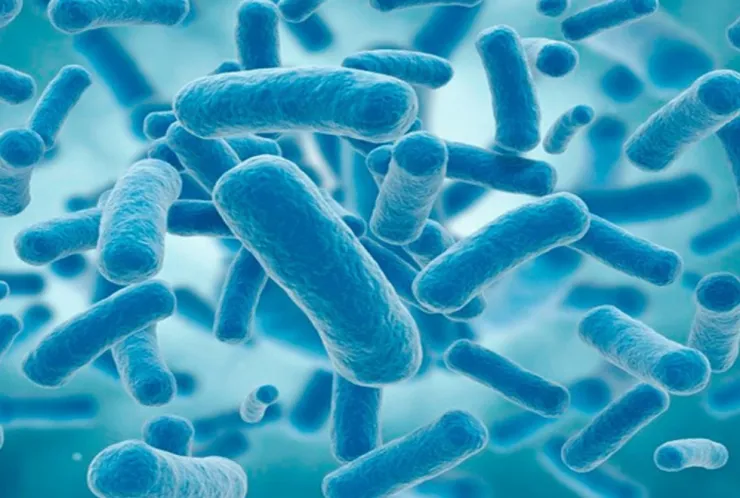 Probioticos2
