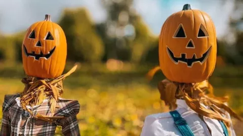 Ruta del Maíz Tijuana 2024