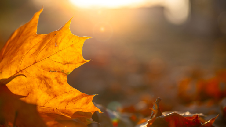 Equinoccio de otoño 2025.jpg