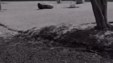 Alicia Villarreal alimenta los rumores de crisis con Cibad Hernández 2.jpg