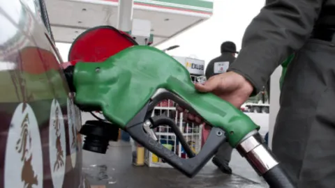 gasolina