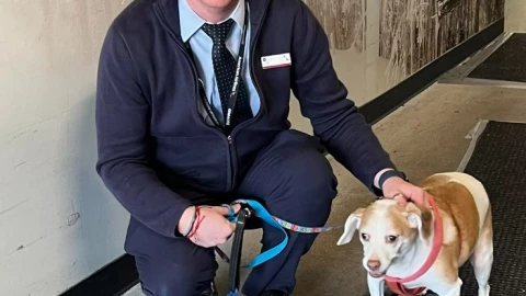 perrita es abandonada