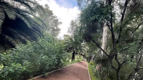El Canal Nacional de Coyoacán recibió un reconocimineto por su diseño tras la rehabilitación que hizo la Sedema y el SACMEX.