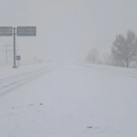 La nieve en Chihuahua no solo cubre de blanco las carreteras, sino que contagia el panorama con su neblina.