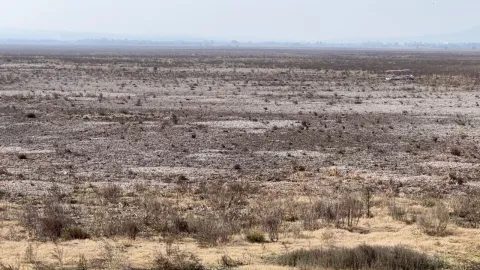 ¿Y el agua? Así luce la Laguna de Zumpango, Edomex, en la actualidad