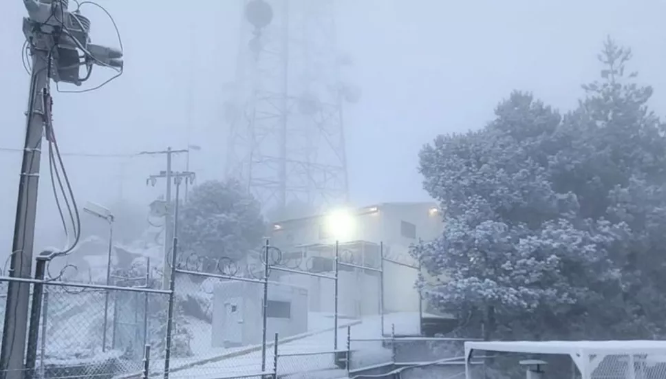 Partes alta de Edomex se cubren de nieve por heladas