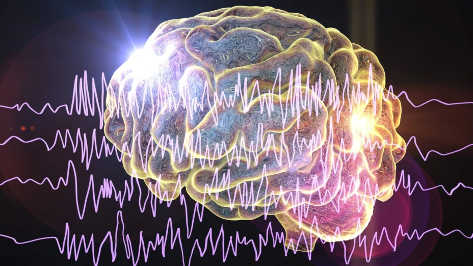 image (72).png