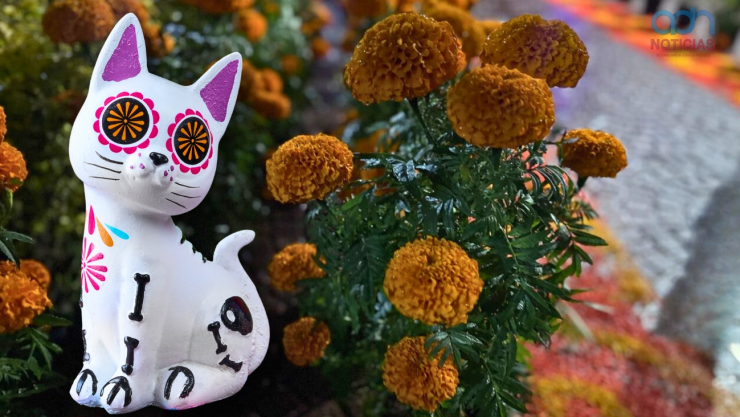 Michictlán CDMX.jpg